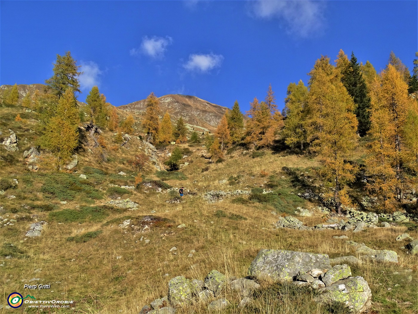 71 Proseguiamo la discesa su sentiero tra lariceti colorati d'autunno.JPG